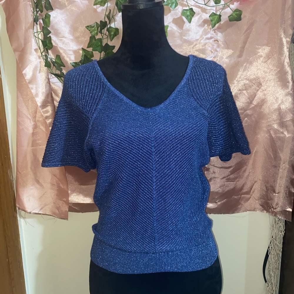 Express Blue Knit Top